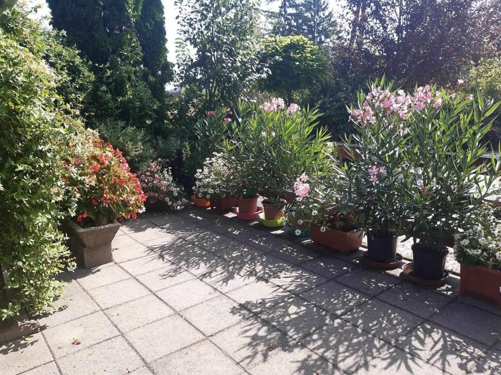 Gyoengyvirag Apartment Romhány Zewnętrze zdjęcie